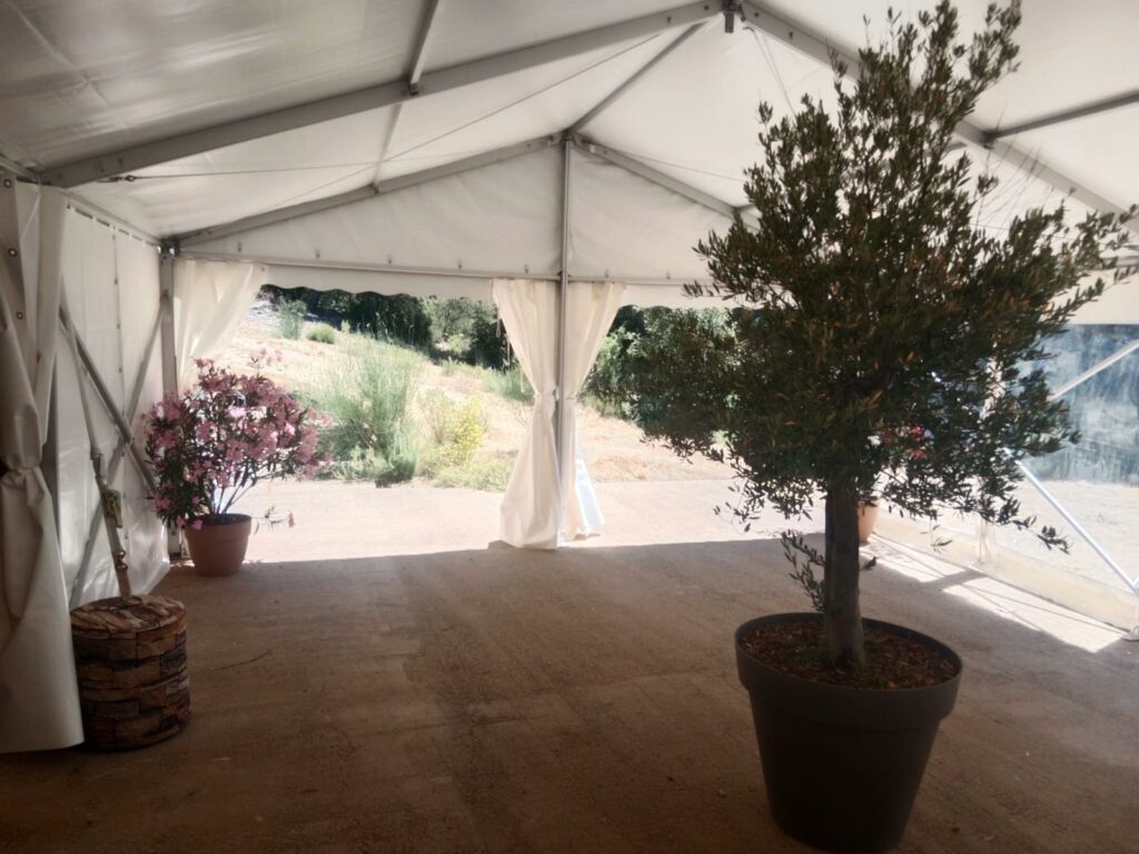 Tente de réception